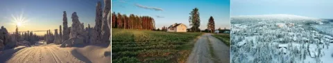 #